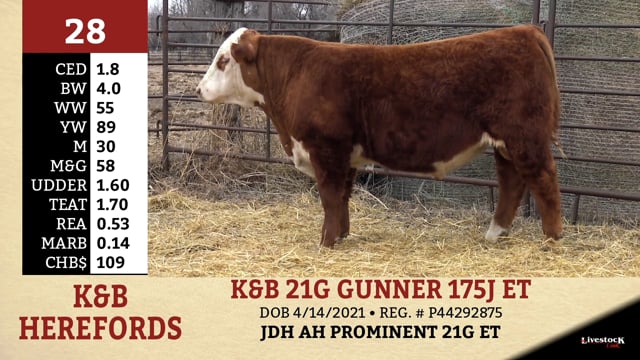 Lot #28 - K&B 21G GUNNER 175J ET