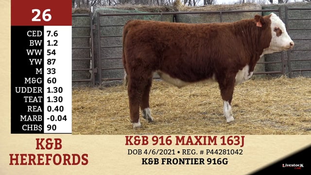 Lot #26 - K&B 916 MAXIM 163J