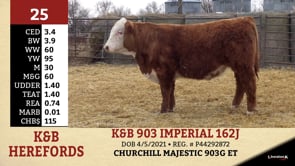 Lot #25 - K&B 903 IMPERIAL 162J