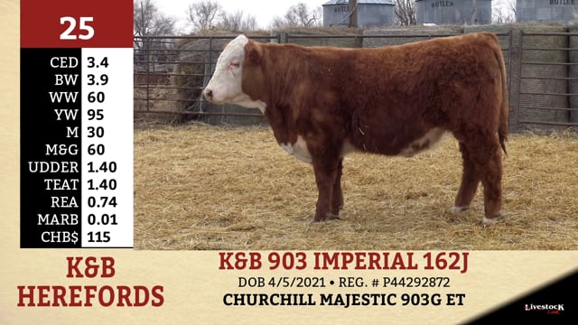 Lot #25 - K&B 903 IMPERIAL 162J