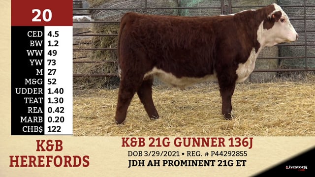 Lot #20 - K&B 21G GUNNER 136J