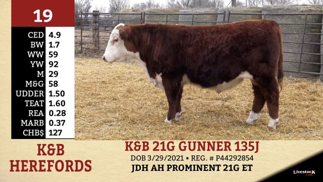 Lot #19 - K&B 21G GUNNER 135J