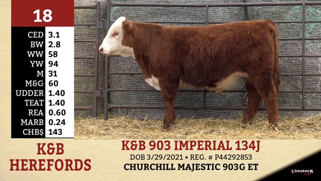 Lot #18 - K&B 903 IMPERIAL 134J