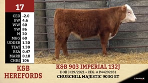 Lot #17 - K&B 903 IMPERIAL 132J
