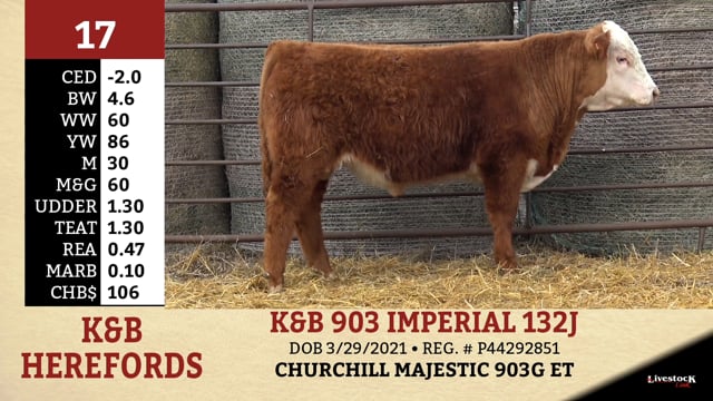 Lot #17 - K&B 903 IMPERIAL 132J