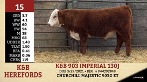 Lot #15 - K&B 903 IMPERIAL 130J
