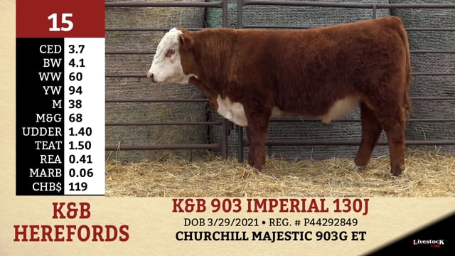 Lot #15 - K&B 903 IMPERIAL 130J