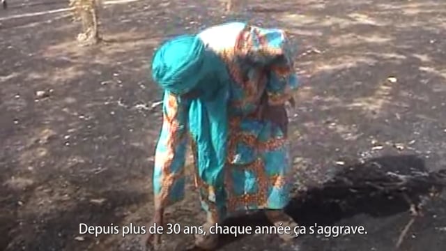 Les feux de forêt dévastateurs - Vidéo ePOP