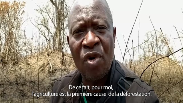 La forêt se vide - Vidéo ePOP