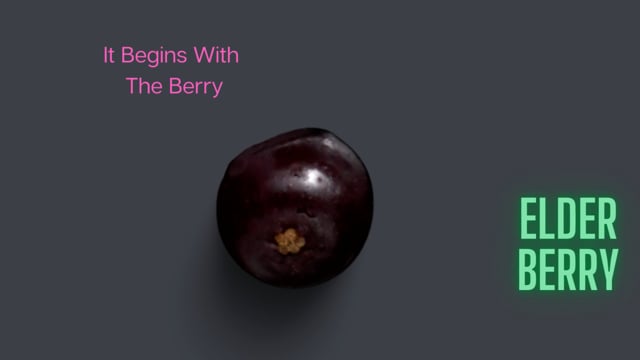 IT Begins with the Berry