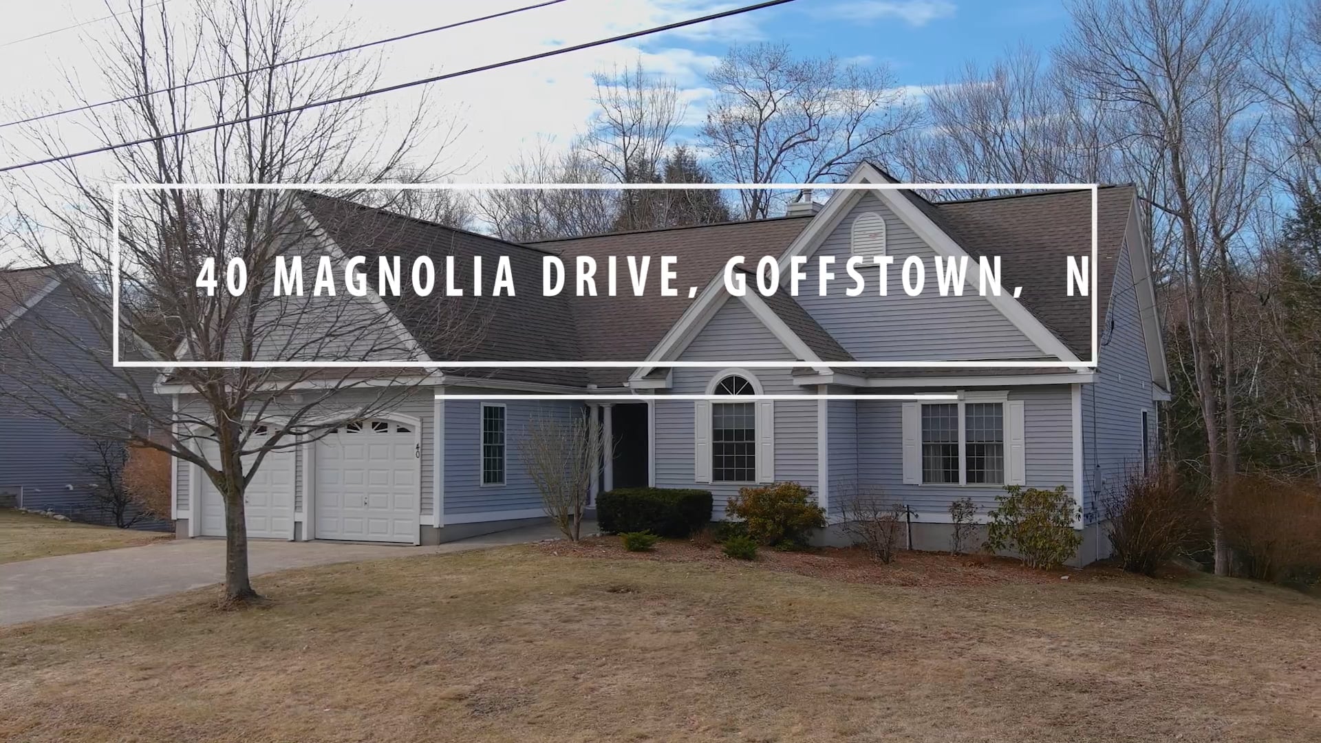 40 Magnolia.mp4 on Vimeo