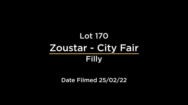 Lot 170