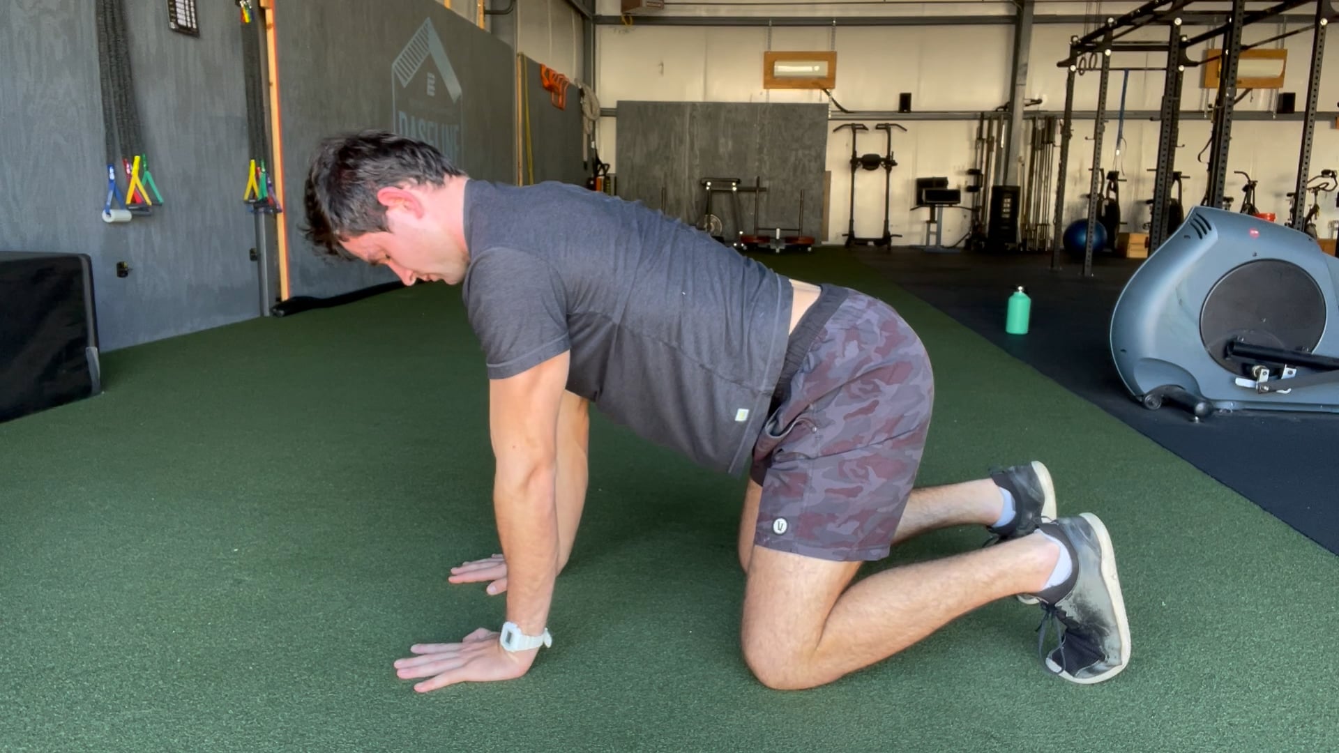 Quadruped Scapula Push Up on Vimeo