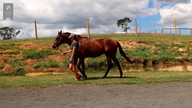Lot 269