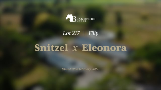 Lot 217