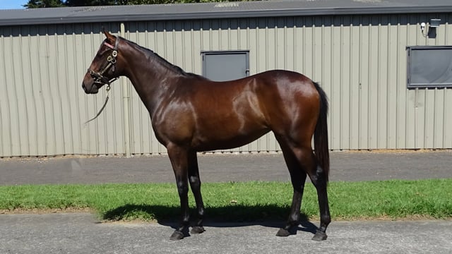 Lot 1093