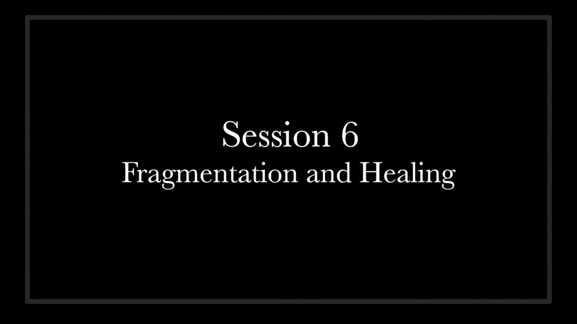 (08) Session 6 - Fragmentation and Healing