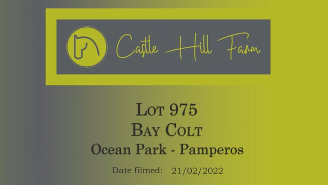 Lot 975