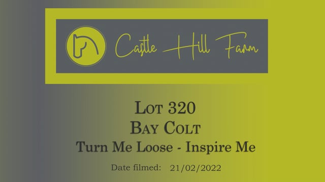 Lot 320