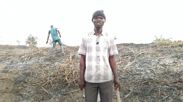 Notre forêt se déboise - Vidéo ePOP