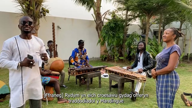 Vimeo Thumbnail (API)