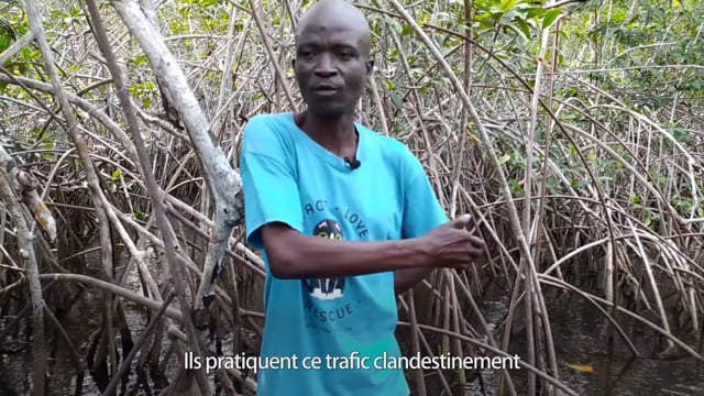 Sauvons la mangrove - Vidéo ePOP