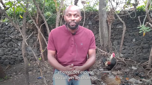 Business d’arbres à Nyiragongo - Vidéo ePOP