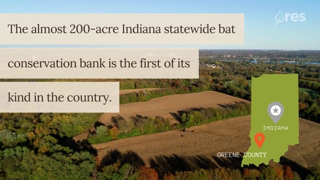 We’re “Batty” for the Indiana Bat Bank | Earth is in Us/US