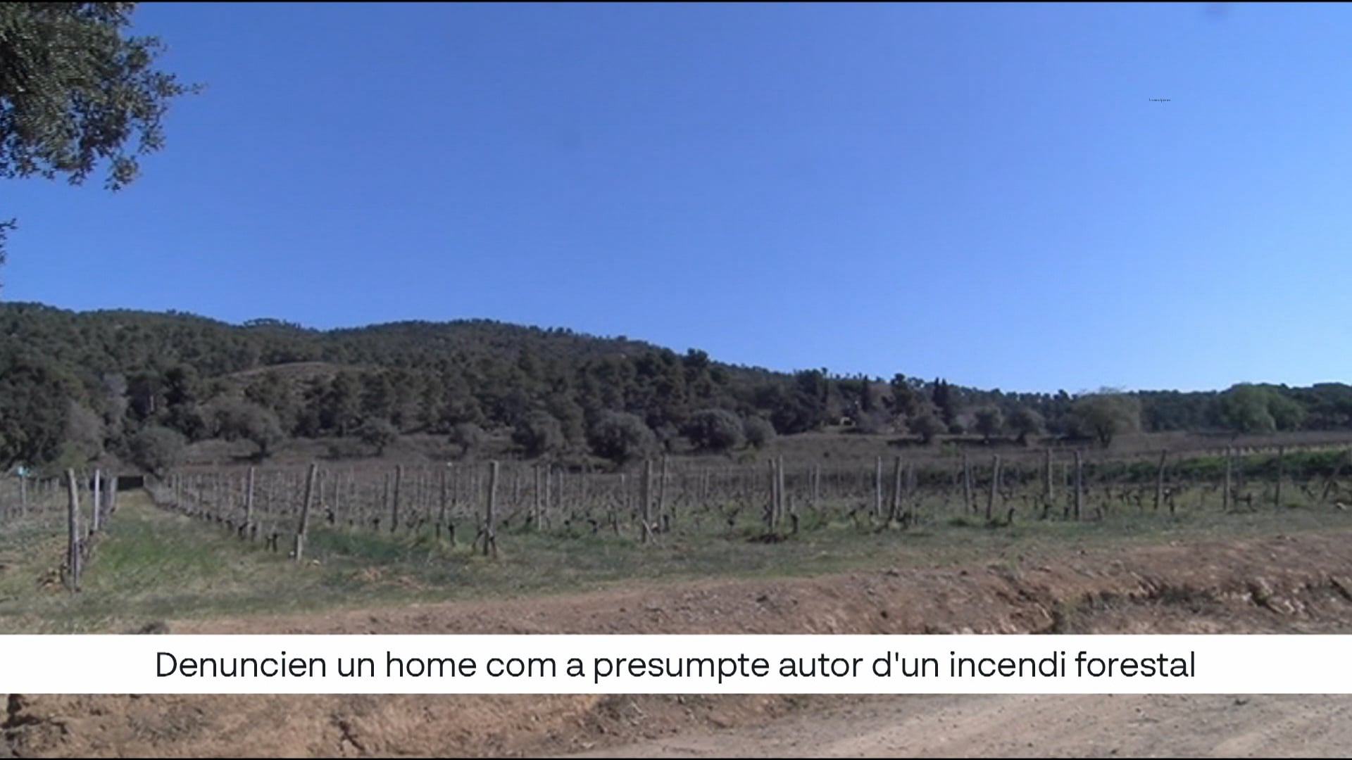 Denunciat penalment un home com a presumpte autor d'un incendi forestal ...
