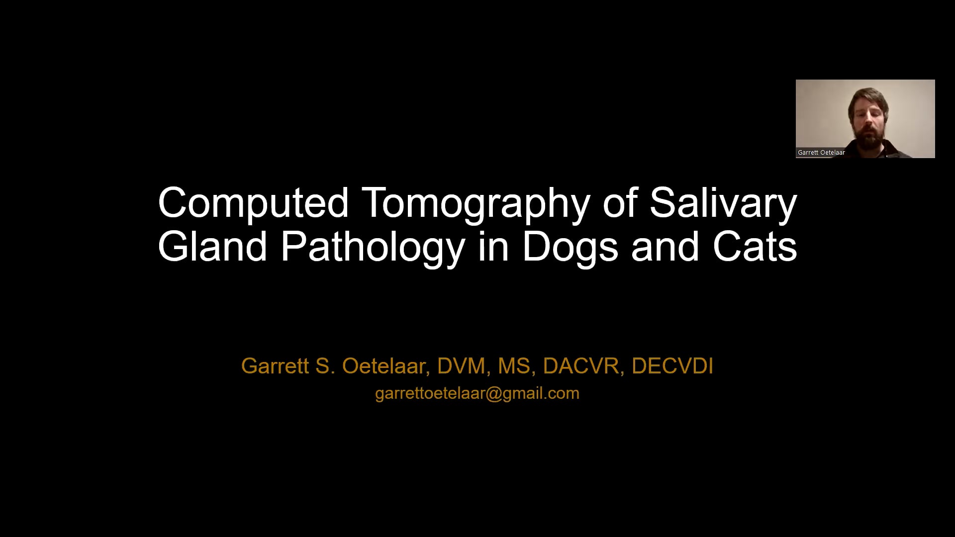 CT of the salivary glands in dogs.