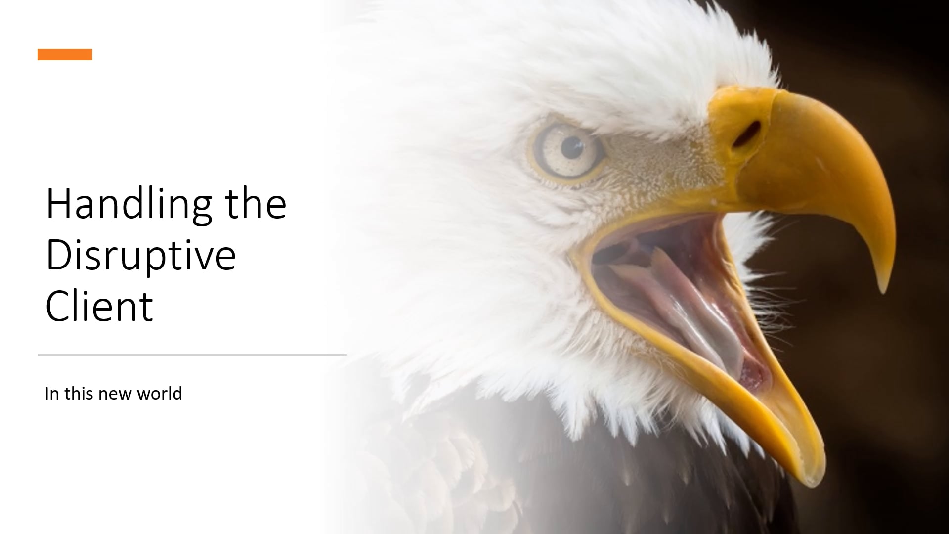Handling the Disruptive Client.mp4 on Vimeo