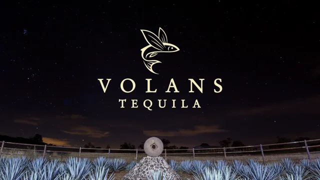 Moët Hennessy Volcán XA Tequila Info