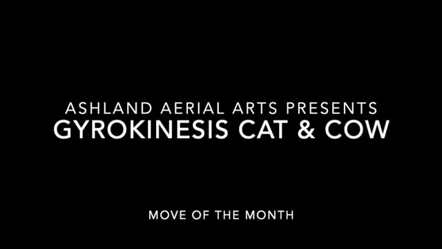 Move of the Month: Gyrokinesis Cat & Cow