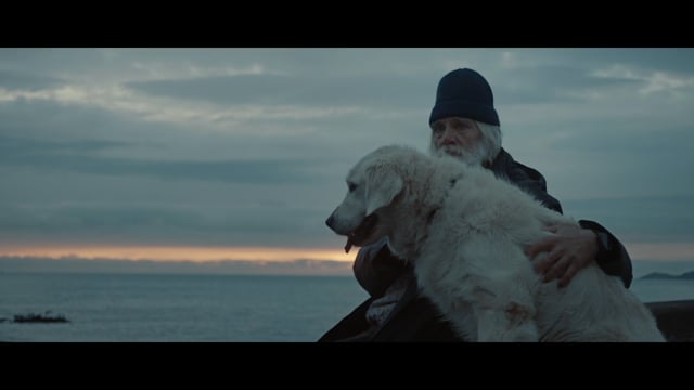 Related Embedded Video Item Thumbnail