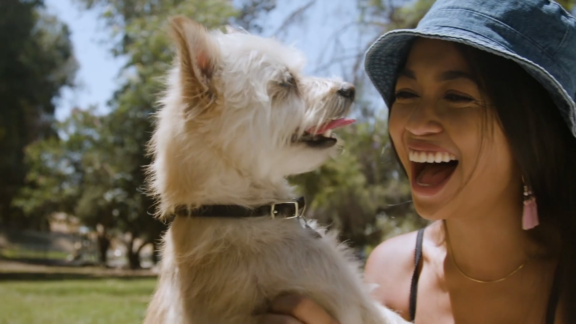 21 Days | Series Trailer