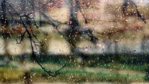 background, rain, window