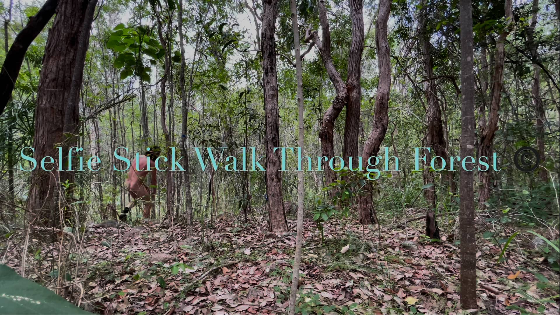 Naturist In Nature 18 Selfie Stick Forest Walk On Vimeo