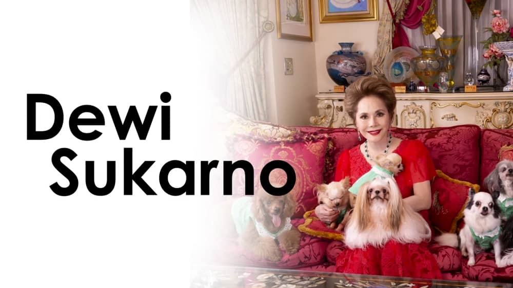 公式 このこのは 初回限定キャンペーン 愛犬家デヴィ夫人も愛用