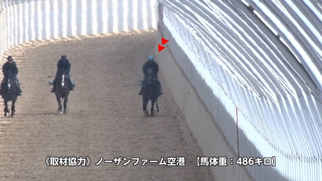 動画サムネイル