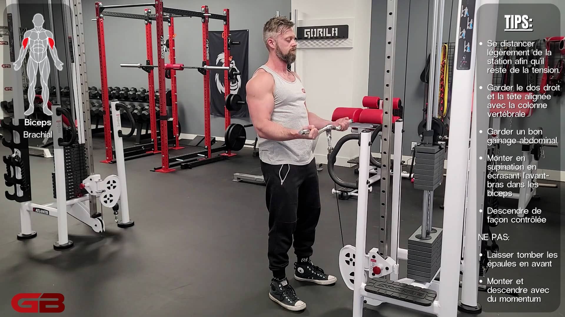 Curl, cable, supination on Vimeo