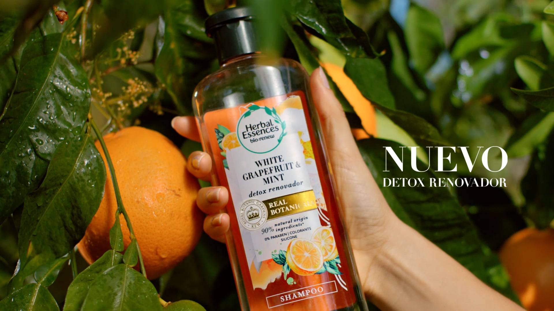 Herbal Essences Grapefruit 15 (SP) on Vimeo