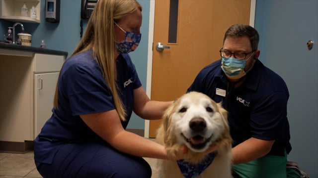 VCA CAVES Recruitment