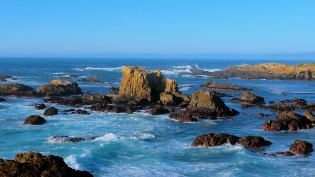 Experience Noyo Headlands Park & The Coastal Trail