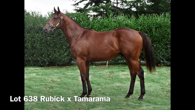 Lot 638