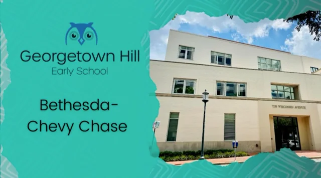 Bethesda + Chevy Chase - Things To Do