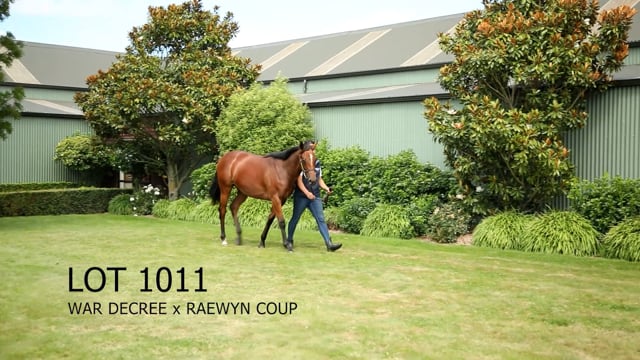 Lot 1011