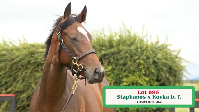 Lot 896