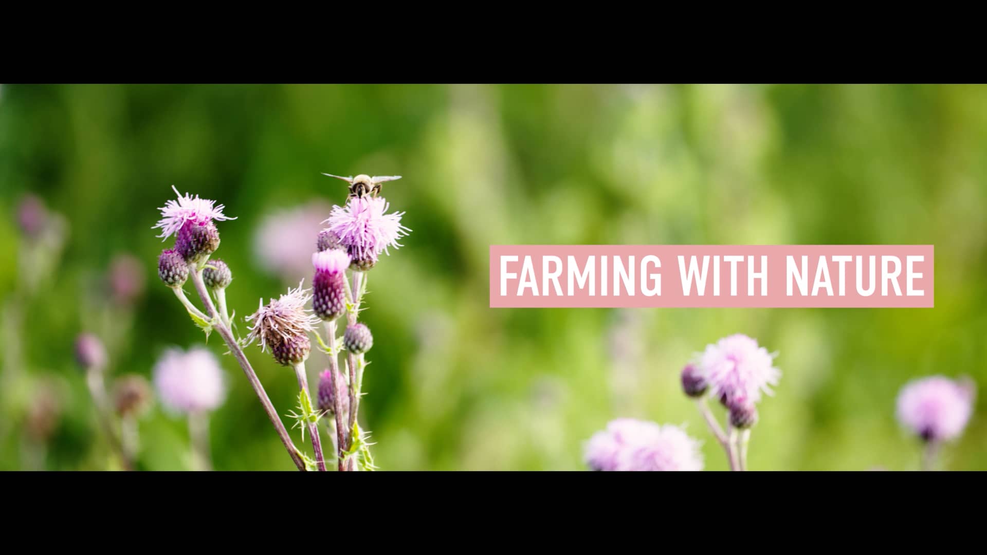 Coombe Farm Organic FINAL 15sec LANDSCAPE 02.mp4 on Vimeo