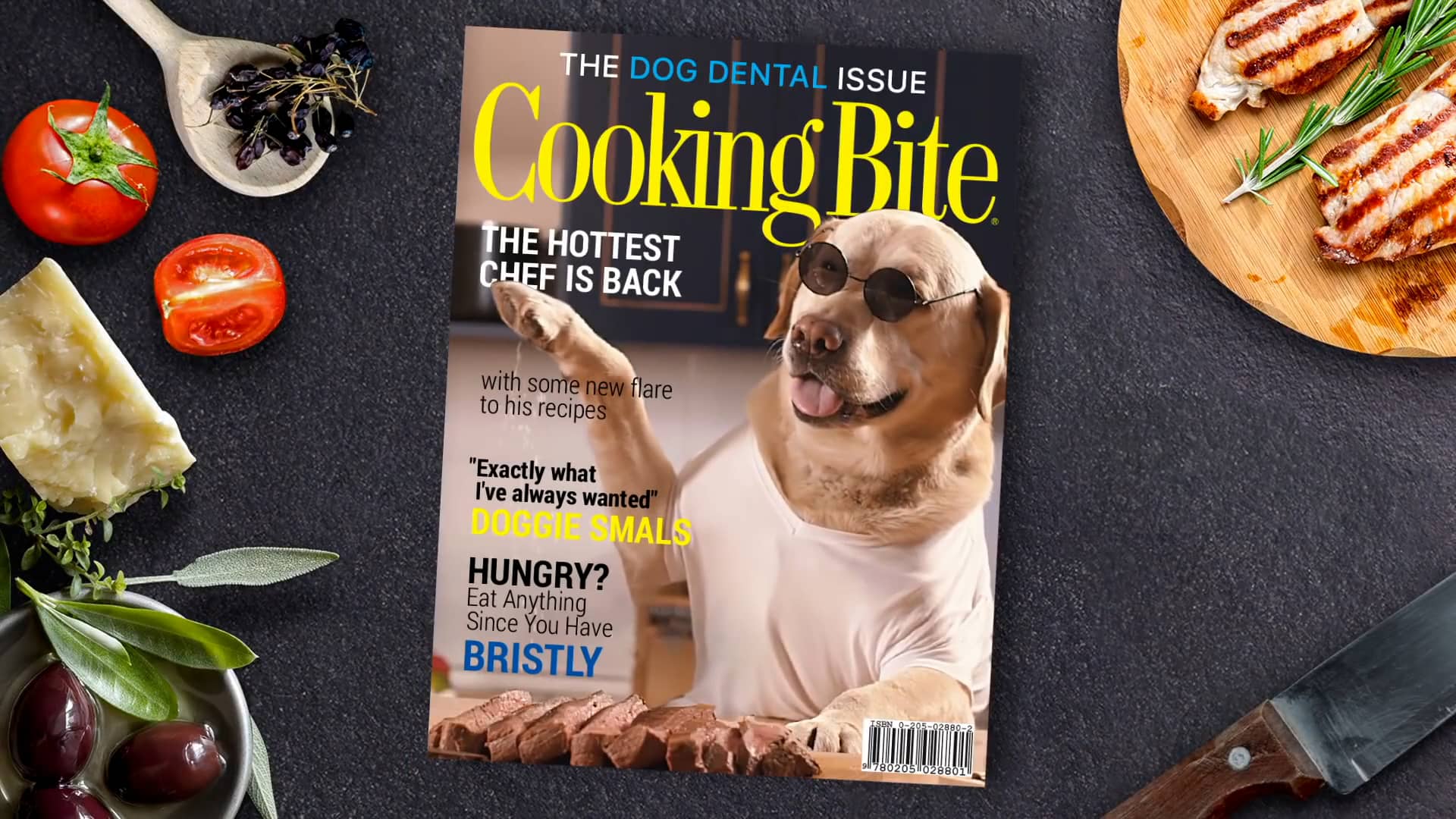 Bristly World's Most Effective Toothbrush for Dogs.mp4 on Vimeo