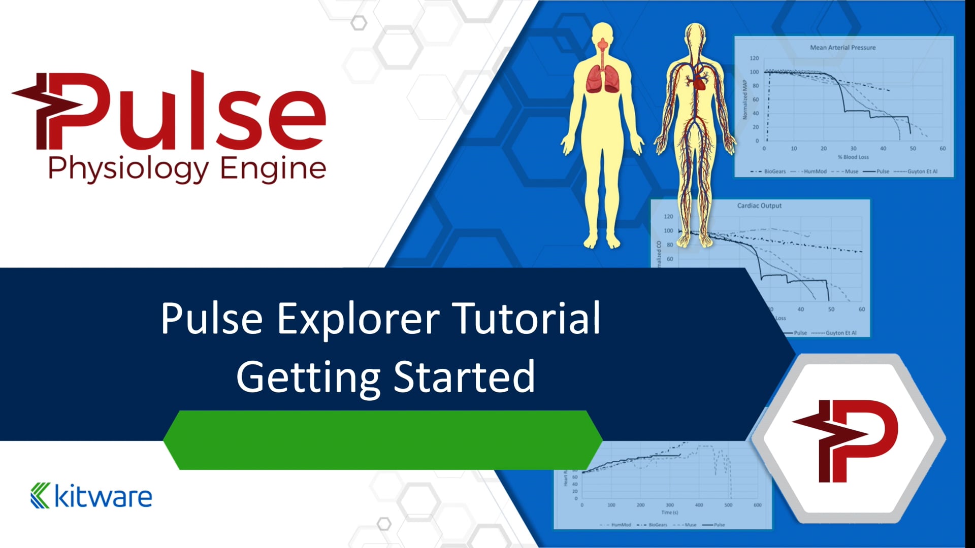 Pulse Explorer, Getting Started Tutorial